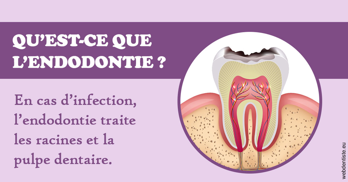 https://www.clinique-dentaire-elbelghiti.com/2024 T1 - Endodontie 02