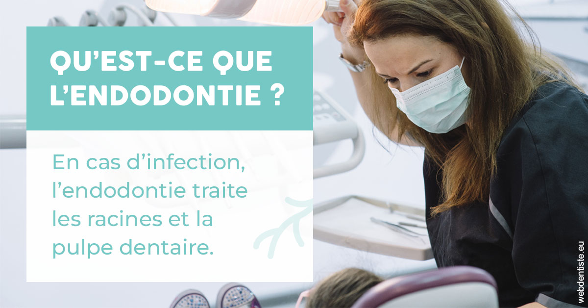 https://www.clinique-dentaire-elbelghiti.com/2024 T1 - Endodontie 01