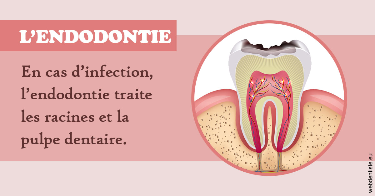 https://www.clinique-dentaire-elbelghiti.com/L'endodontie 2